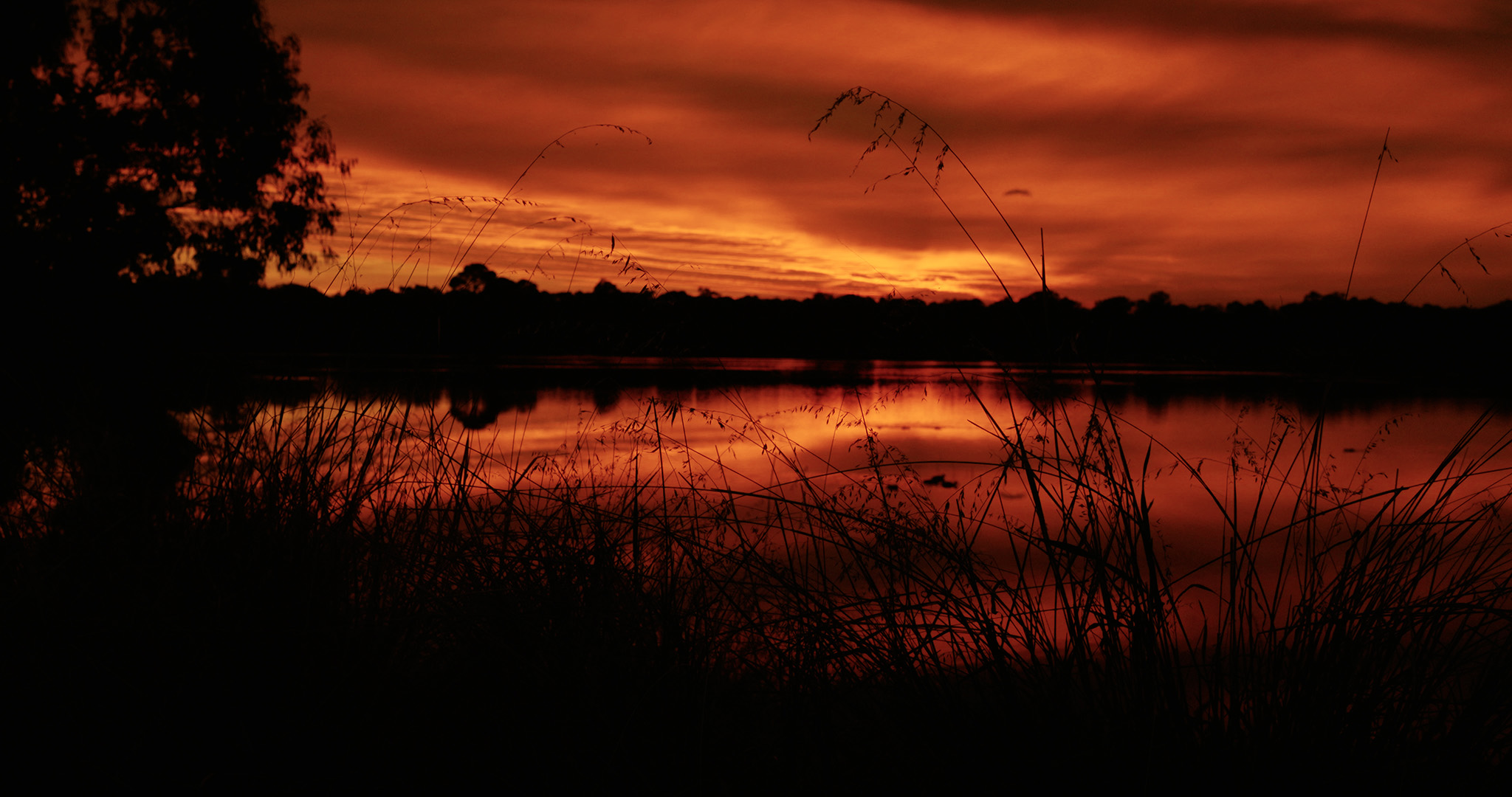 Red sky of dawn reflects on a wetland lake.